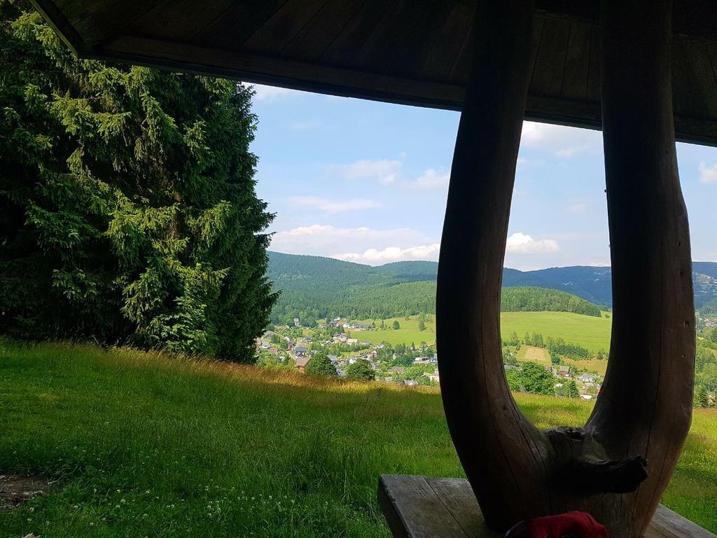 Апартаменти Am Duerrenbachtal Клінґенталь Екстер'єр фото